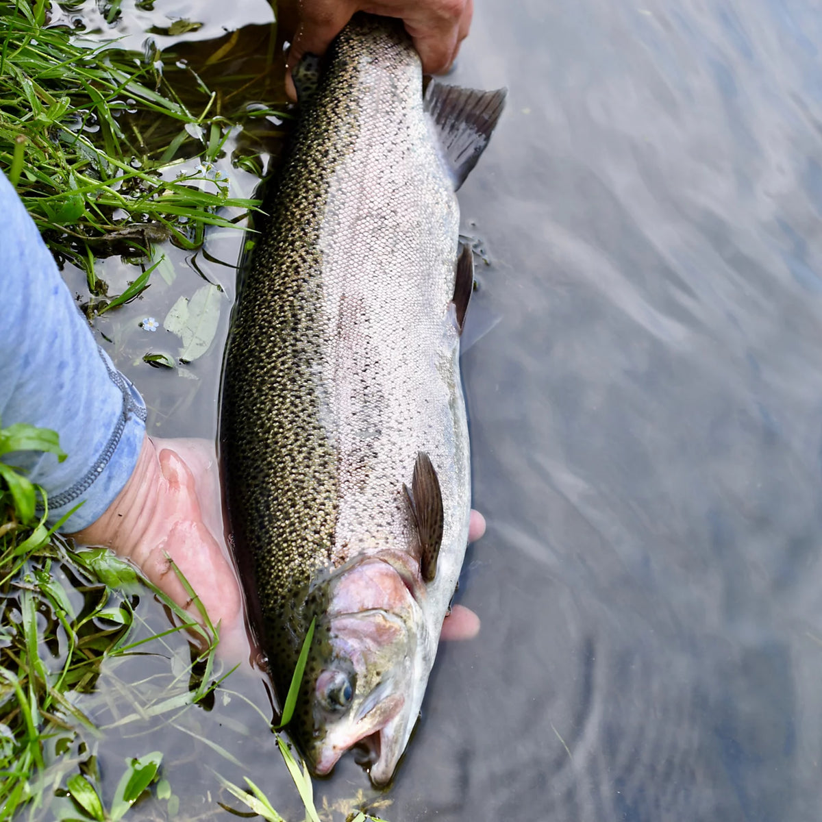 Orvis Clyde, Ohio Fly Fishing School