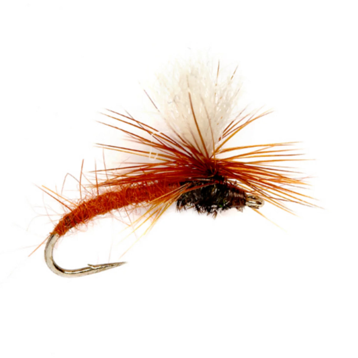 BROWN,10