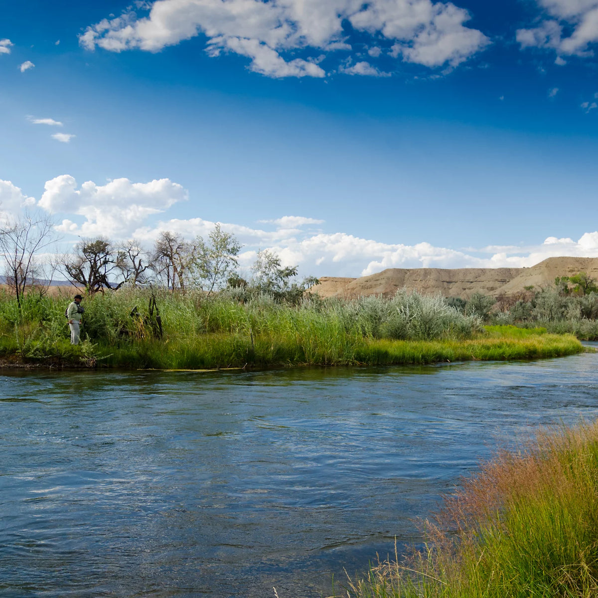 Orvis Trout School At Falcon's Ledge, Utah