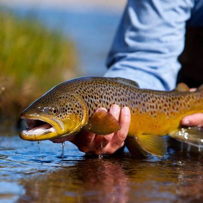 Orvis Trout School At Falcon's Ledge, Utah