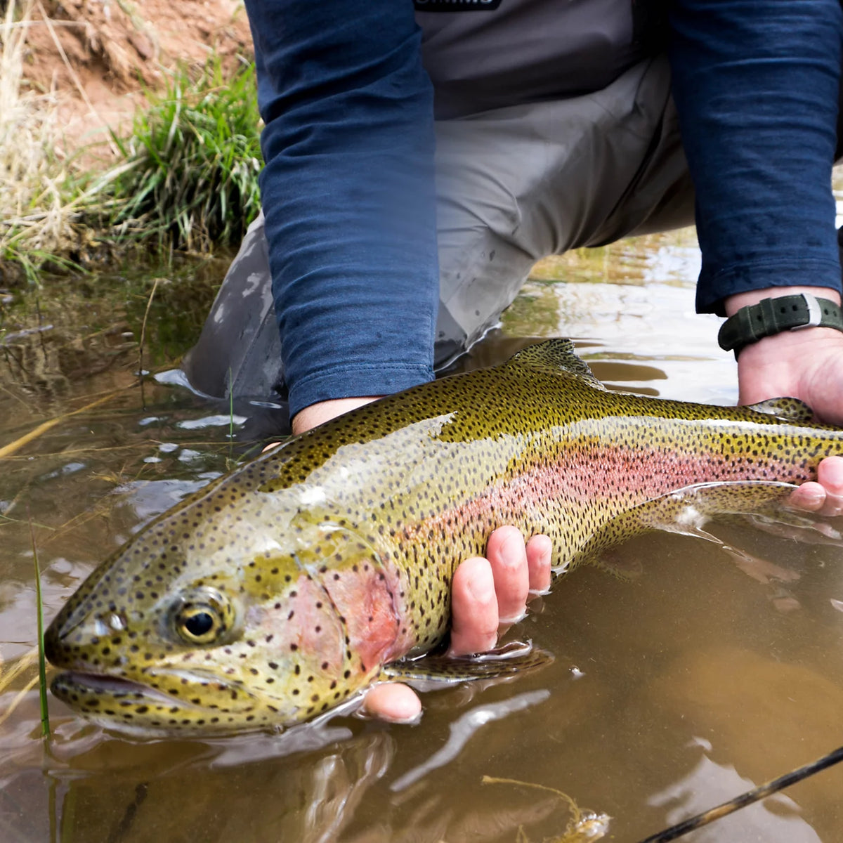 Orvis Trout School At Falcon's Ledge, Utah