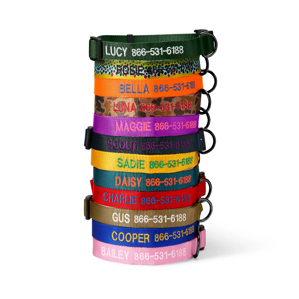 Orvis Personalized Side-Release Buckle Collar