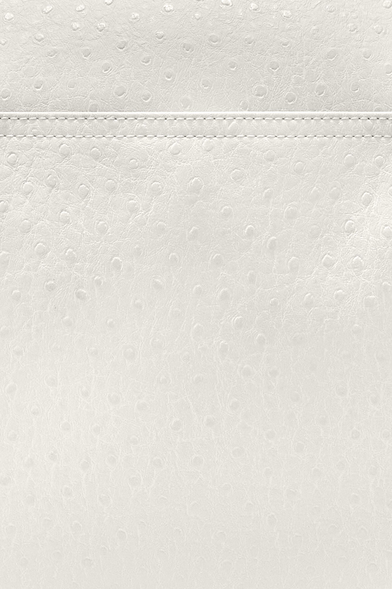 GANNI Online Egret Posy Bag in White Ostrich