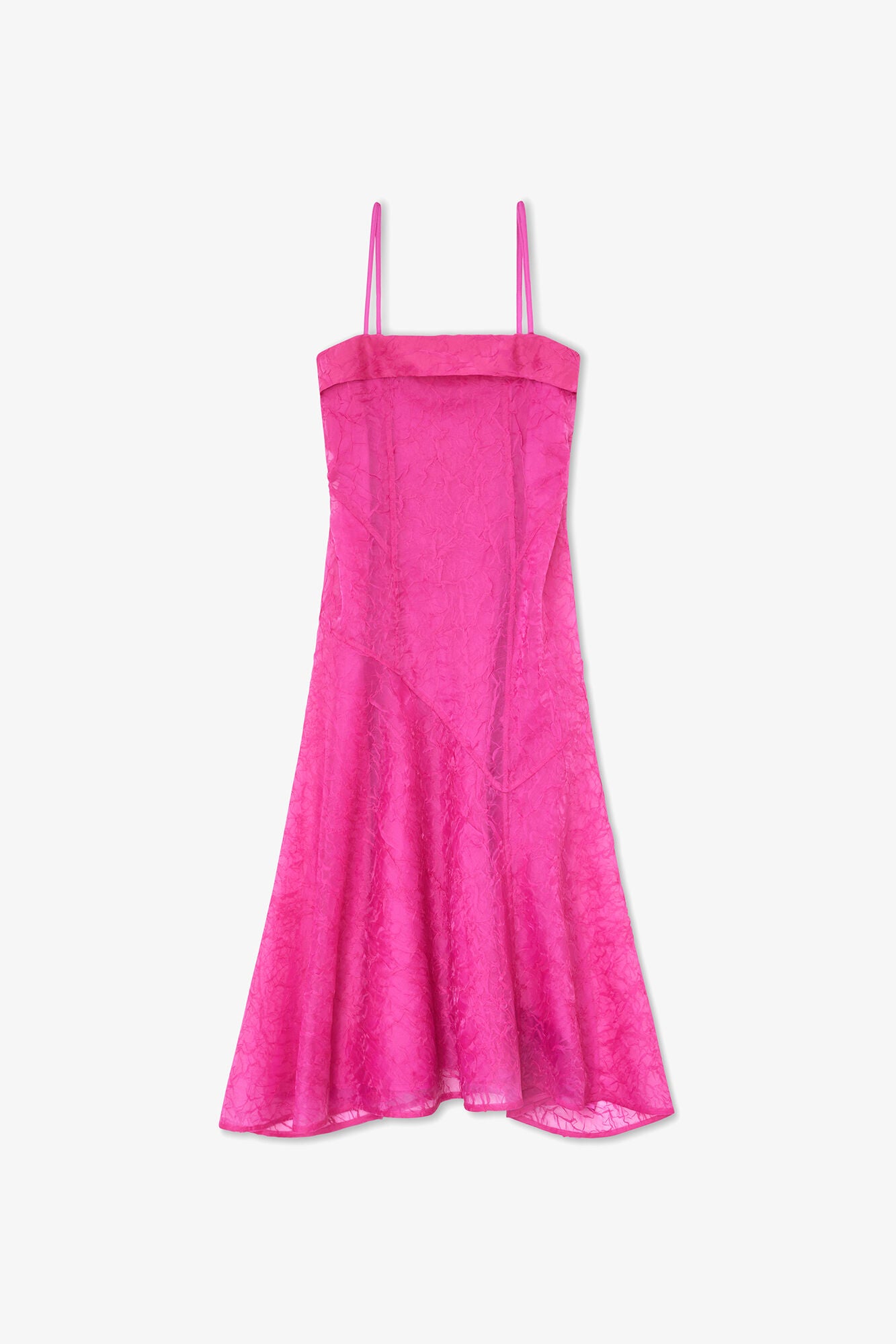 Raspberry Rose,0