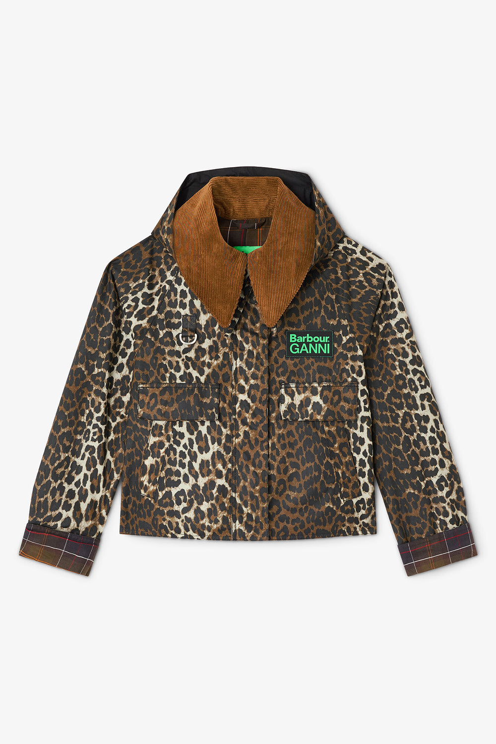 Leopard,0