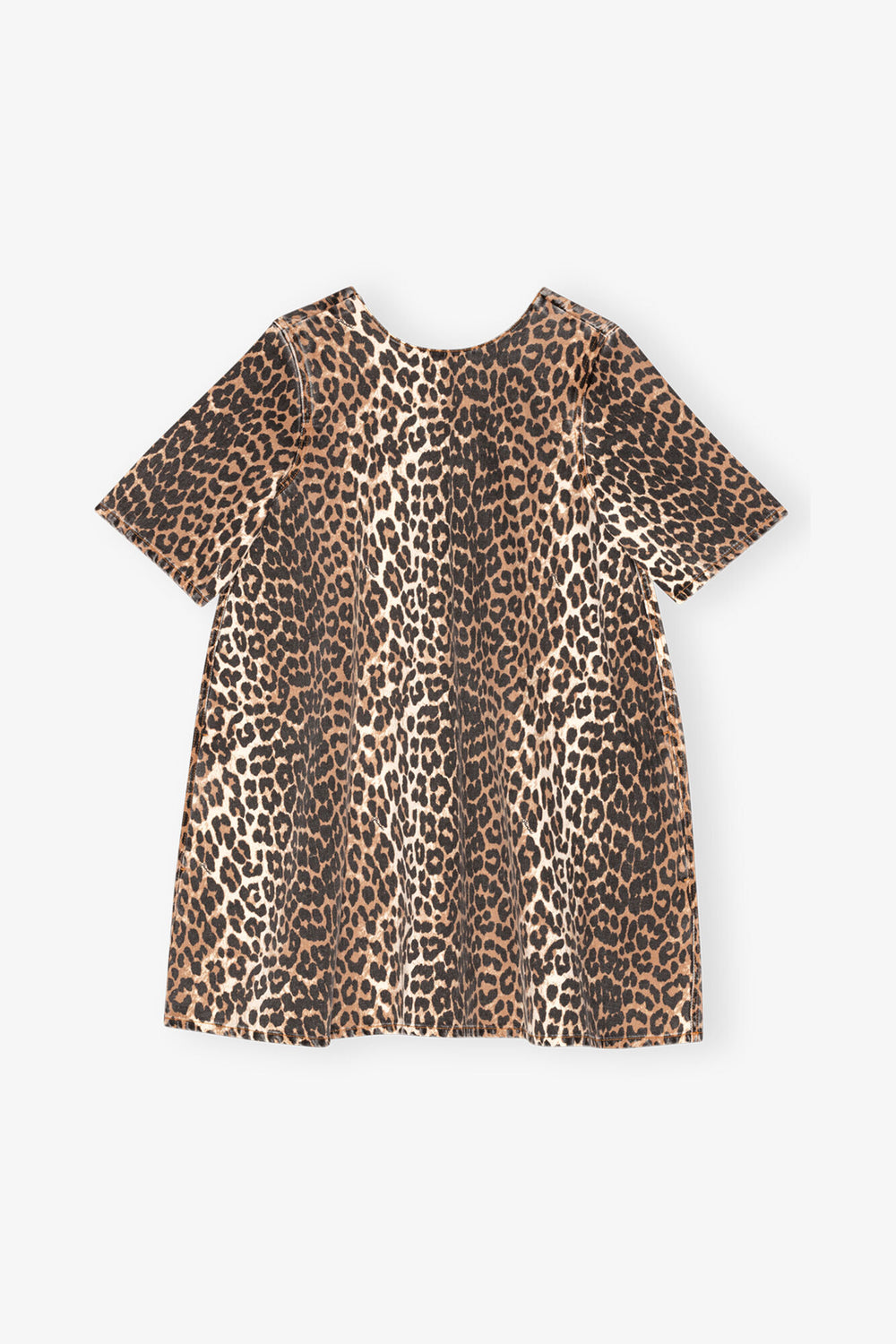 Leopard,0