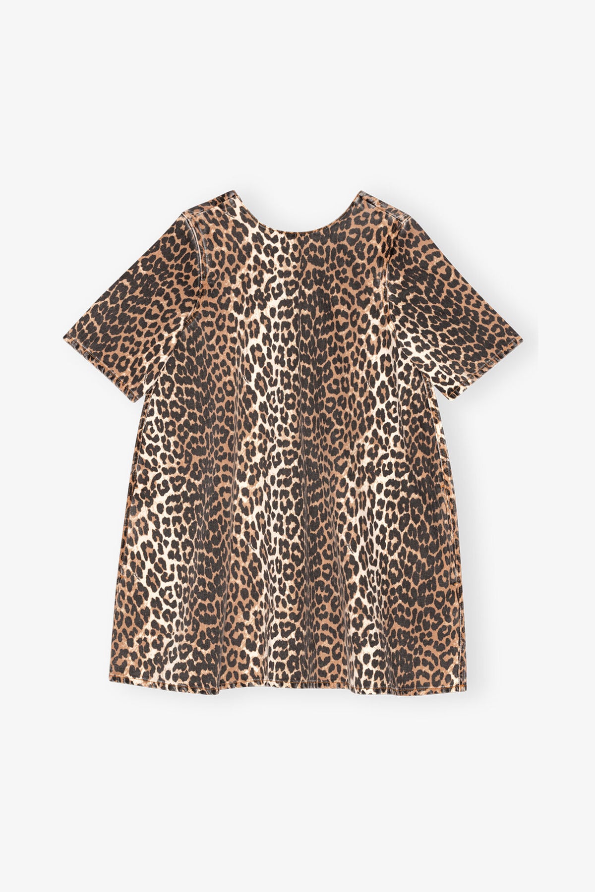 Leopard,0