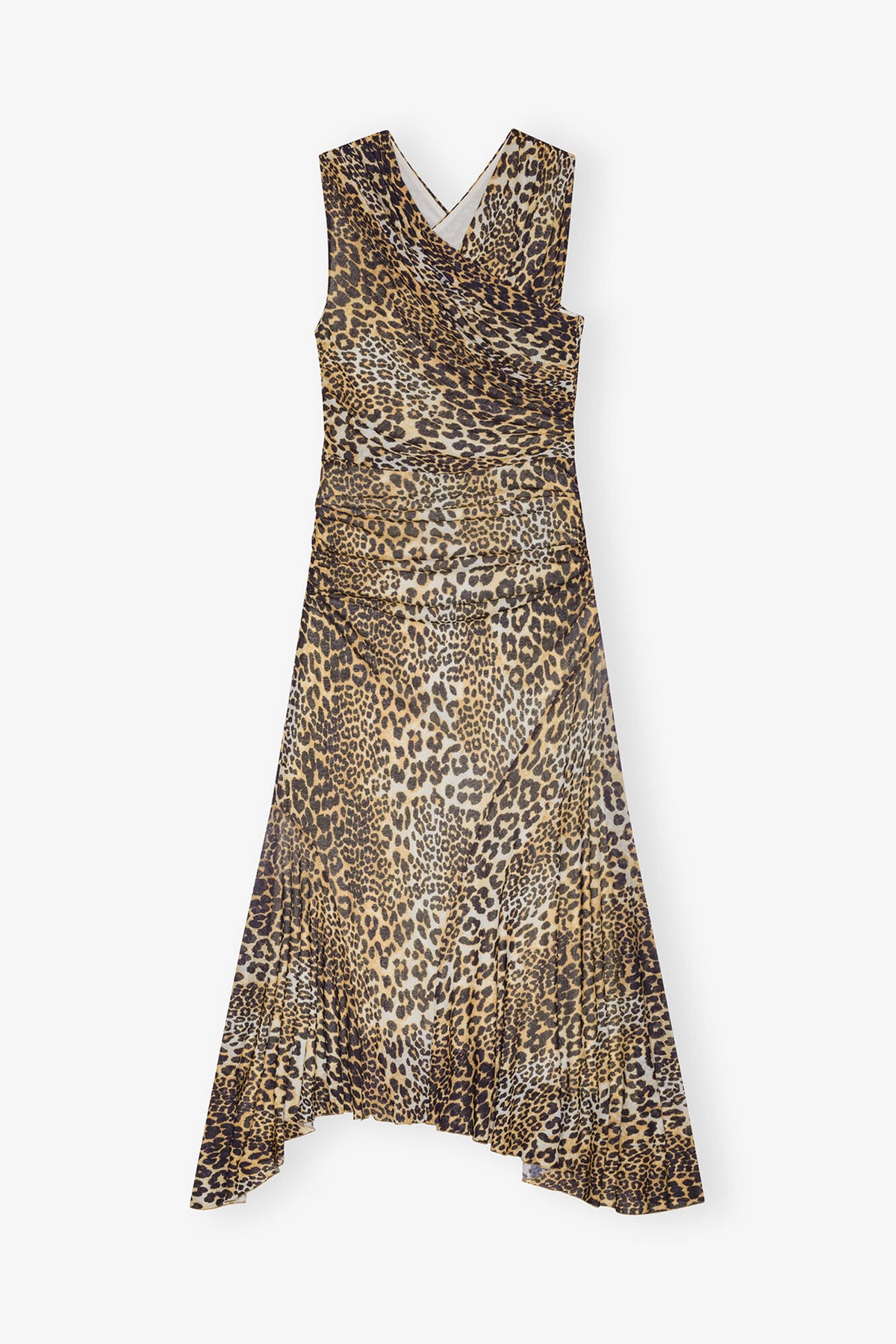 Leopard,0