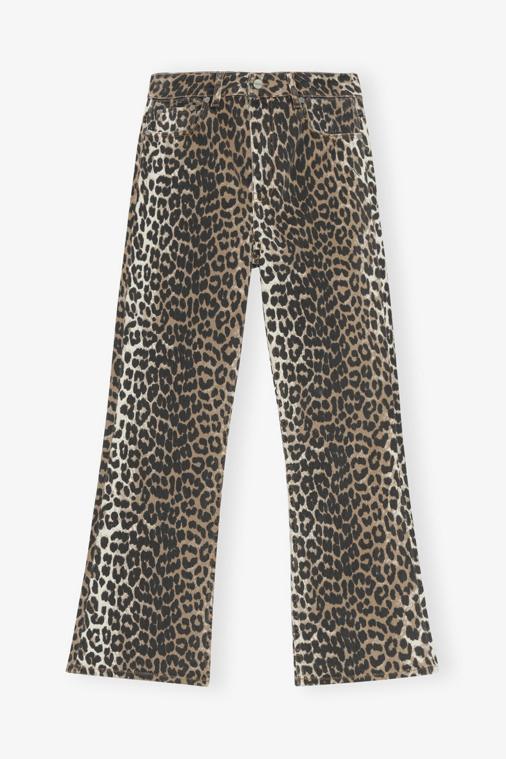 Leopard,24