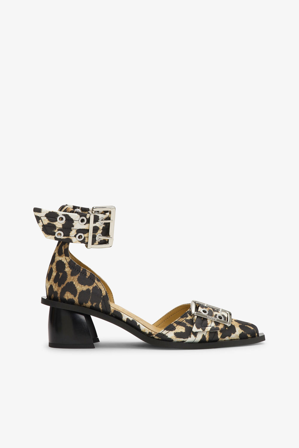 Leopard,5