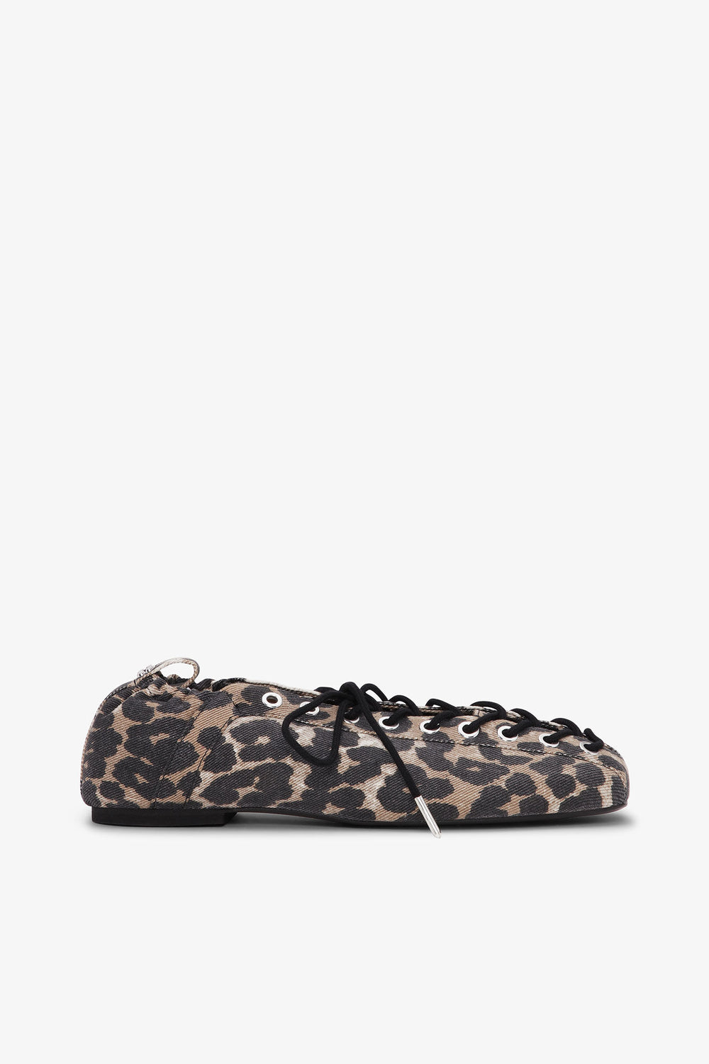 Leopard,5